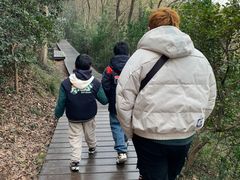 -上海佘山国家森林公园西佘山园