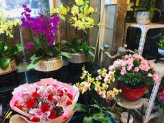 -曲阳花鸟市场(曲阳路店)