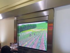 -河坝烧烤串城(金达莱店)