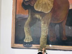 -石家庄市动物园