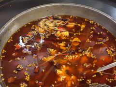 -重庆乌鱼庄·龙滋鲜(青羊大道店)