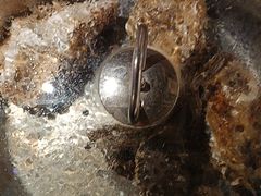 -海玥荟海鲜姿造自助餐厅(欧罗巴广场店)