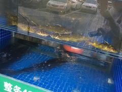-好灶头妈妈菜·千岛湖柴火鱼餐厅(桐庐店)