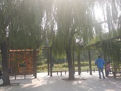 -望湖公园