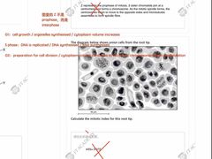 -JT PREP国际学科课程·IB·AP·Alevel(陆家嘴校区)