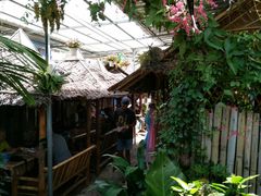 -Jungle Kitchen