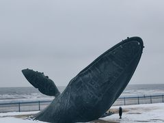 -烟台金沙滩海滨公园