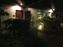 -椰树岛海滩度假村