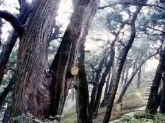 -七曲山风景区