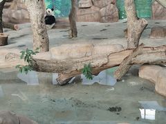 -南宁市动物园