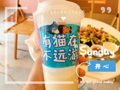 -猫儿山۰猫主题餐厅