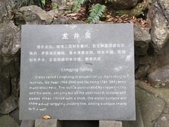 -十八棵（老龙井）御茶园(老龙井店)