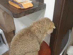 -方林富炒货店(武林路店)