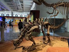 -自贡恐龙博物馆