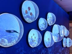 -上海中国航海博物馆