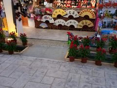 -三亚红色娘子军演艺公园景区