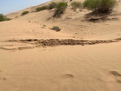 -亿利库布其七星湖沙漠生态旅游区