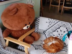 -平行世界·猫咖(首经贸店)