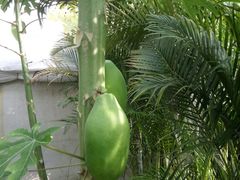 -天源吉布世温泉水乐园