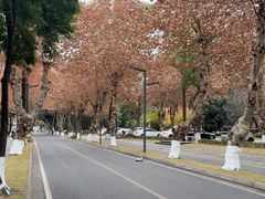 -四川大学(望江校区)