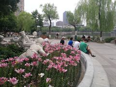 -文瀛公园