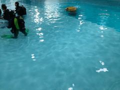 -上海潜殿潜水中心