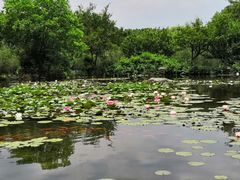 -白马涧龙池景区
