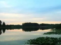 -五里湖湿地公园