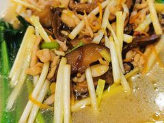 -鸿达渔港