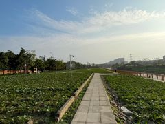 -茅草房·河畔园林火锅
