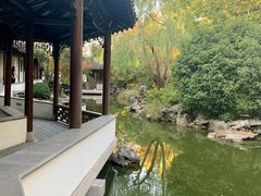 -秋霞圃