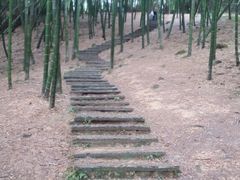 -宁波浙东大竹海景区