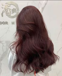 -潘多拉Hairsalon