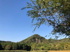 -八卦田遗址公园