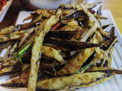 -望京一号·重庆江湖菜(工体店)