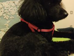 -上海证券交易所(上海证券大厦北塔店)