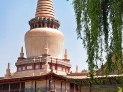 -张掖大佛寺景区