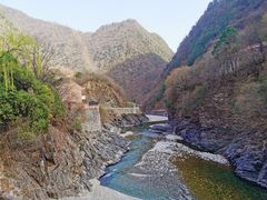 -黑河国家森林公园