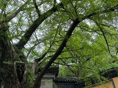 -惠山古镇·寄畅园