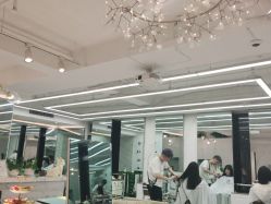 -潘多拉Hairsalon