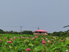 -嘉北郊野公园