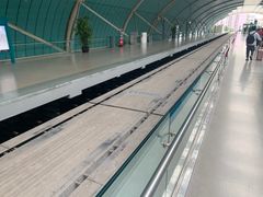 -龙阳路磁悬浮列车总站-停车场