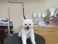 -美联众合动物医院·24h京西诊疗中心