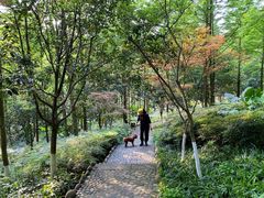 -重庆彩云湖湿地公园
