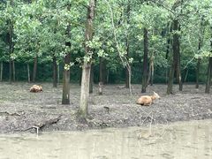 -溱湖国家湿地公园