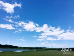 -塞罕坝国家级自然保护区