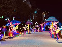 -沈阳奥体冰雪嘉年华
