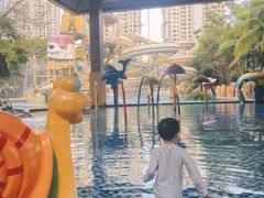 -亚马逊丛林水乐园