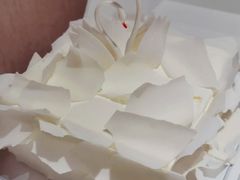 -BLACKSWAN黑天鹅(环球店)