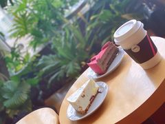 -Seesaw Coffee(朝阳大悦城店)